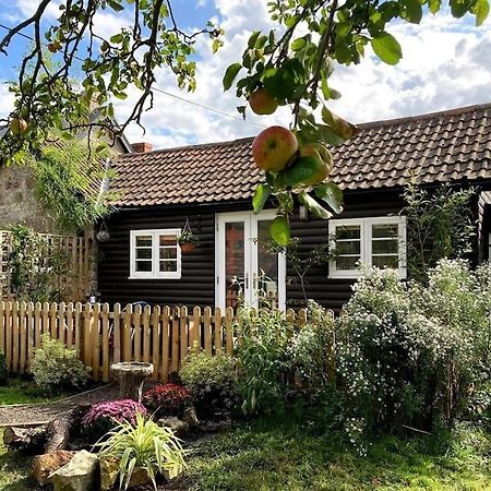 Cosy Studio Retreat In Wells, Somerset Экстерьер фото